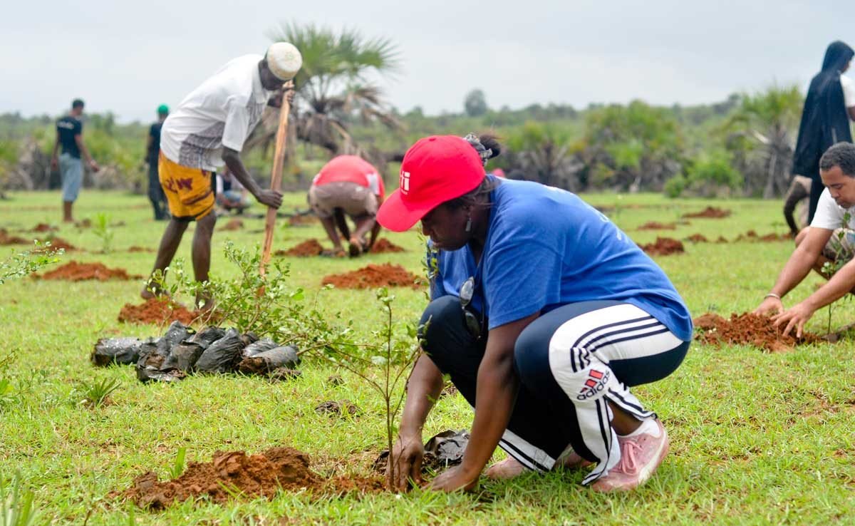 Plantation d'arbres avec les communautés
